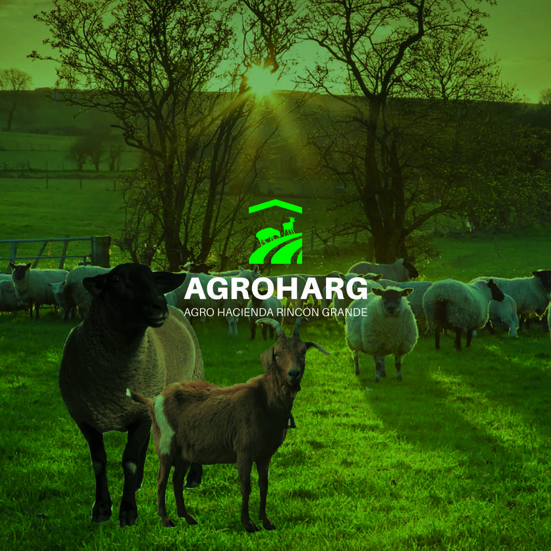 AgroHarg